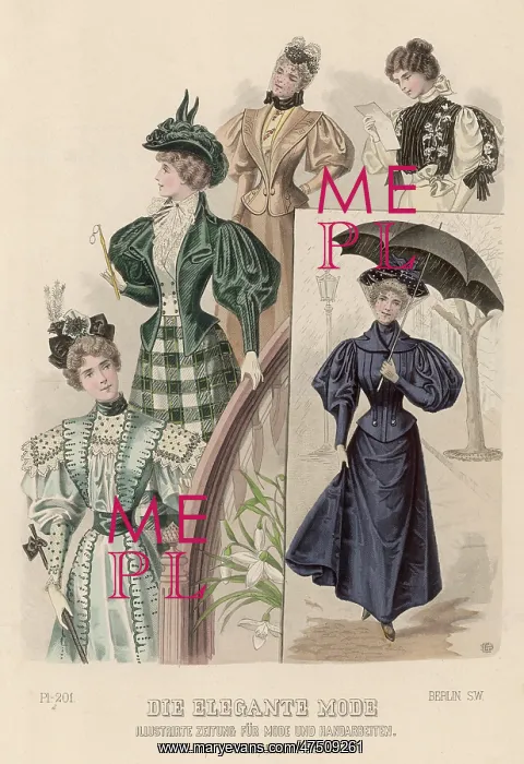 : ELEGANT DRESS OF 1896 : ELEGANT DRESS OF 1896