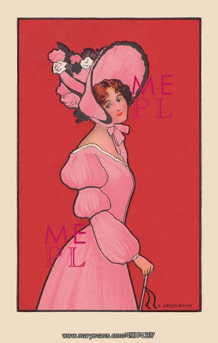 : Elegant Lady : Elegant Lady
