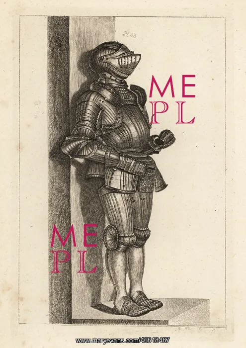 : Elegant suit of German fluted armour : Elegant suit of German fluted armour