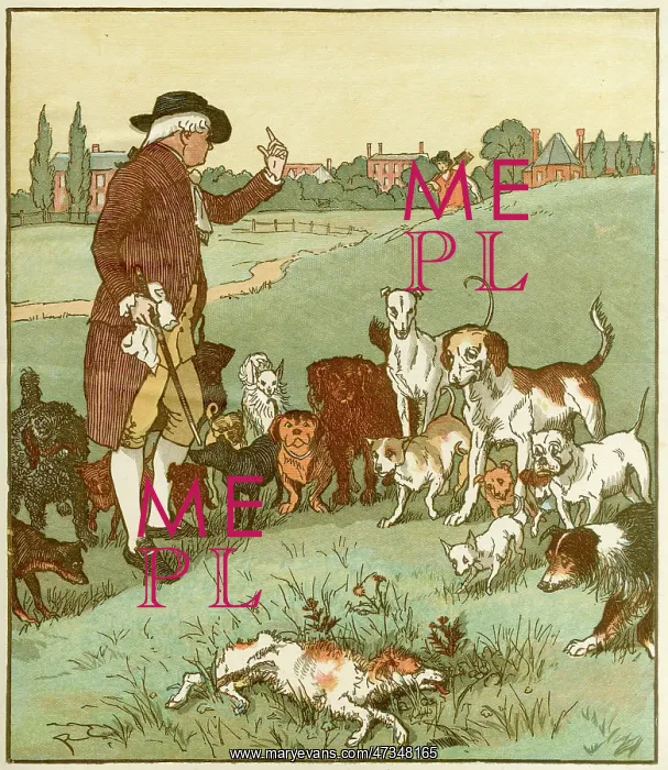: ELEGY ON A MAD DOG : ELEGY ON A MAD DOG