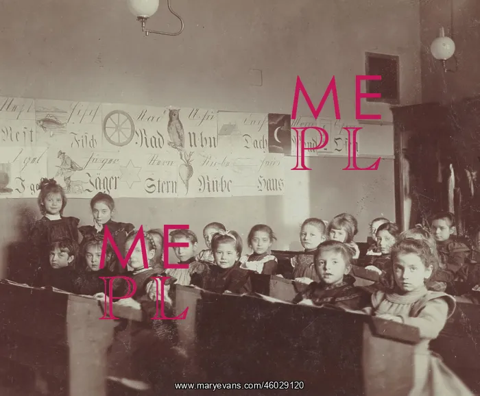 : Elementary school : Elementary school