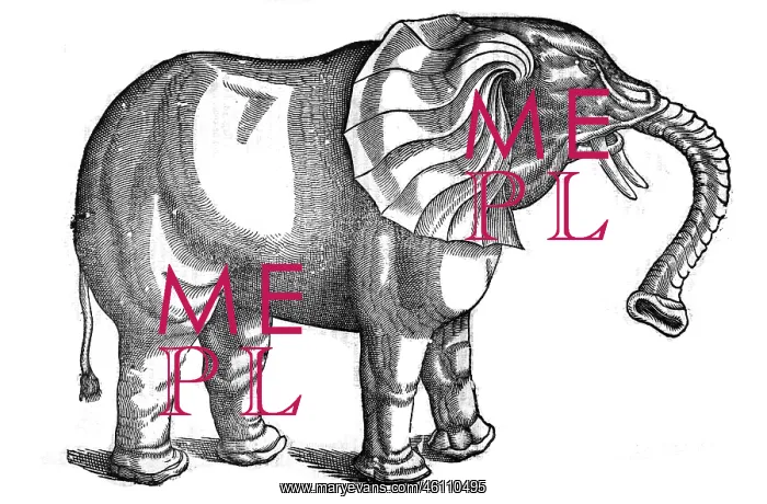 : Elephant from Topsell's The history of four-footed beasts and serpents : Elephant from Topsell's The history of four-footed beasts and serpents
