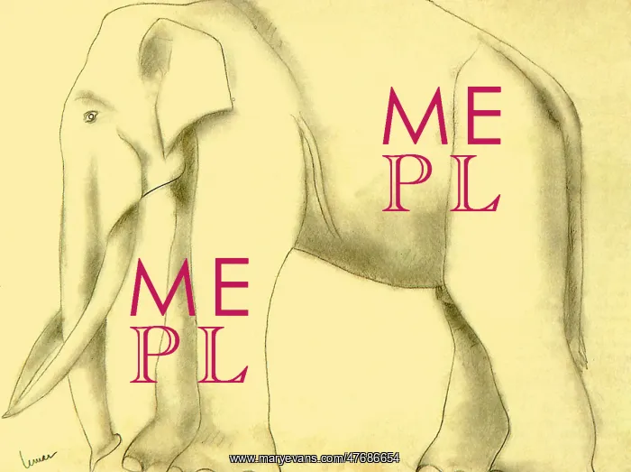  : Elephant