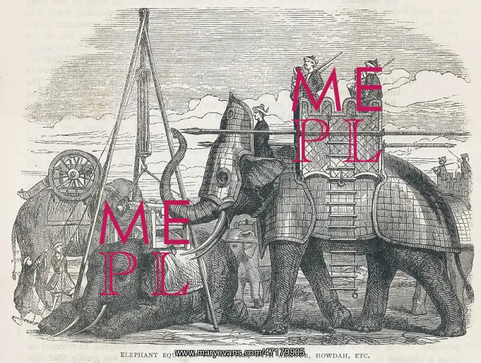  : ELEPHANT IN ARMOUR