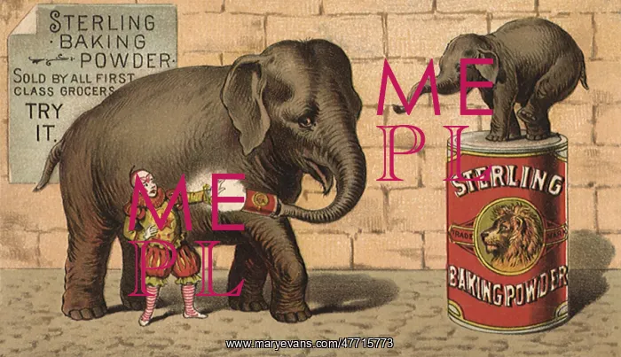  : Elephant and Baby