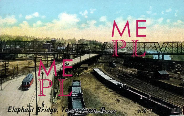  : Elephant Bridge, Youngstown, Ohio, USA
