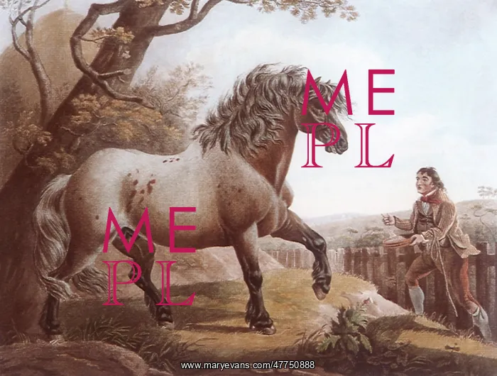 : Elephant, a Cart Horse