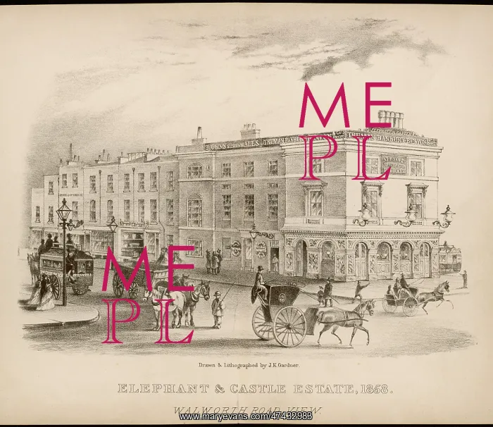 : ELEPHANT & CASTLE : ELEPHANT & CASTLE