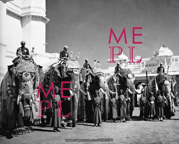 : Elephant before the City Palace in Udaipur : Elephant before the City Palace in Udaipur