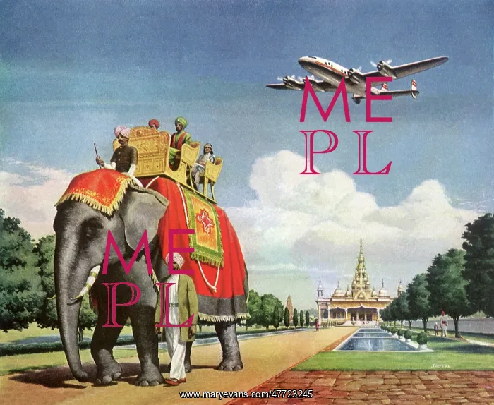  : Elephant Conveys Rajah, India