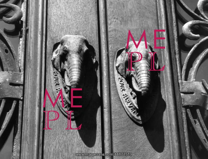 : ELEPHANT DOORKNOCKERS : ELEPHANT DOORKNOCKERS