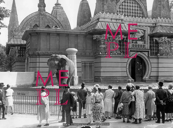 : Elephant enclosure in the Berlin Tiergarten, 1930 : Elephant enclosure in the Berlin Tiergarten, 1930