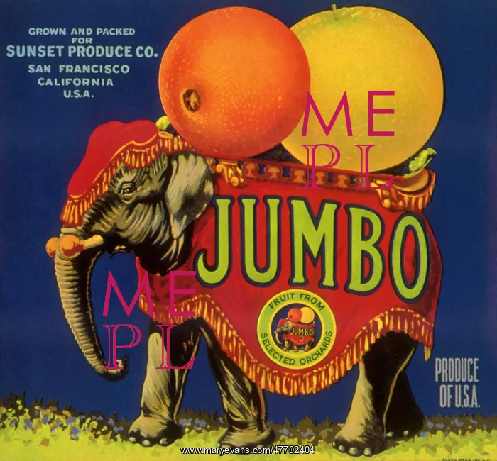  : Elephant Fruit Label