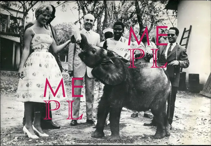 : Elephant gift from Congo to President Eisenhower : Elephant gift from Congo to President Eisenhower
