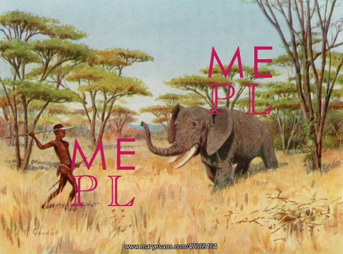 : Elephant Hunt - Africa : Elephant Hunt - Africa