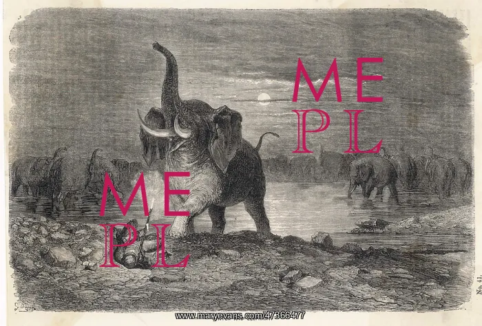 : ELEPHANT HUNT (DORE) : ELEPHANT HUNT (DORE)