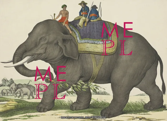 : Elephant by Jos. Scholz : Elephant by Jos. Scholz
