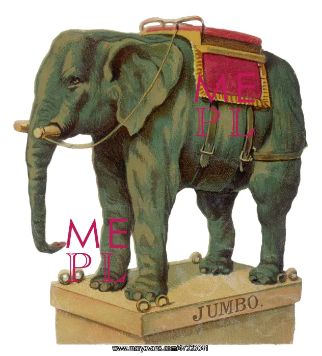  : Elephant - Jumbo Scrap