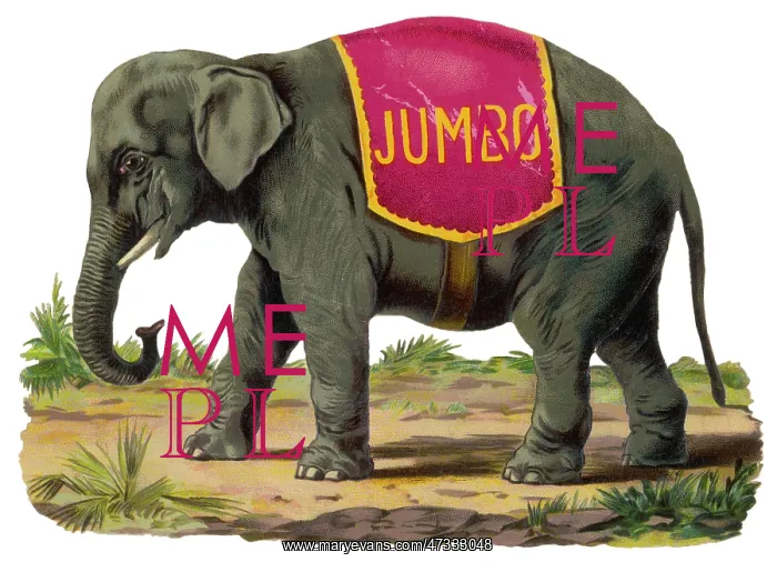  : Elephant - Jumbo Scrap