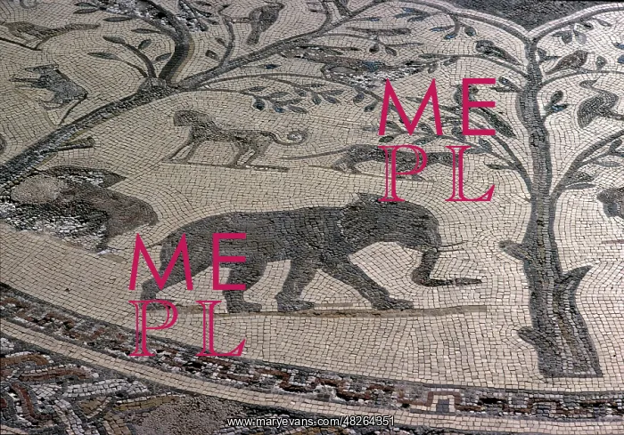 : Elephant Mosaic at Volubilis : Elephant Mosaic at Volubilis