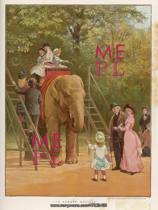 : ELEPHANT RIDE : ELEPHANT RIDE