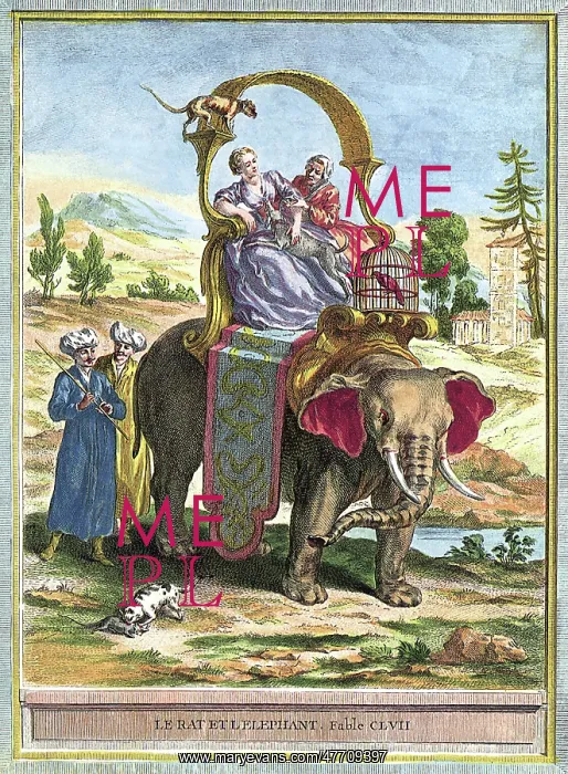  : Elephant Ride
