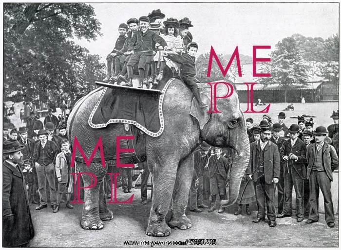 : Elephant Rides in Regent's Park Zoo 1900 : Elephant Rides in Regent's Park Zoo 1900