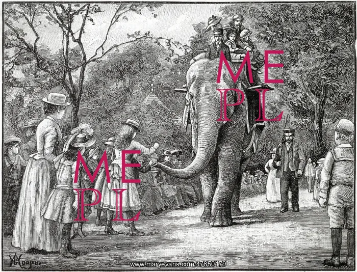 : Elephant Rides in Regent's Park Zoo : Elephant Rides in Regent's Park Zoo