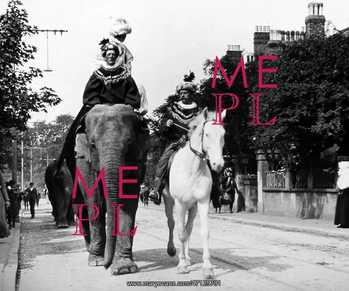 : Elephant, Sangers Circus parade