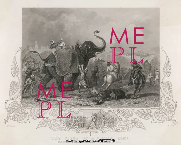 : ELEPHANT / SIKH WAR / 1849 : ELEPHANT / SIKH WAR / 1849