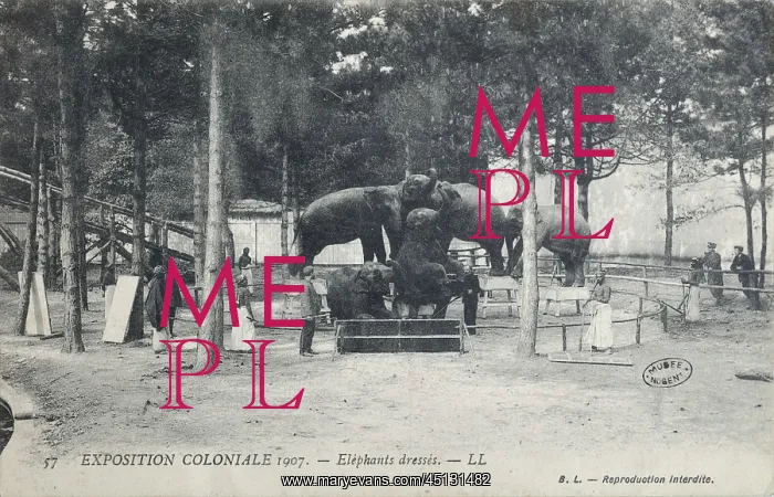  : Elephant training, 1907 Colonial Exhibition, Jardin