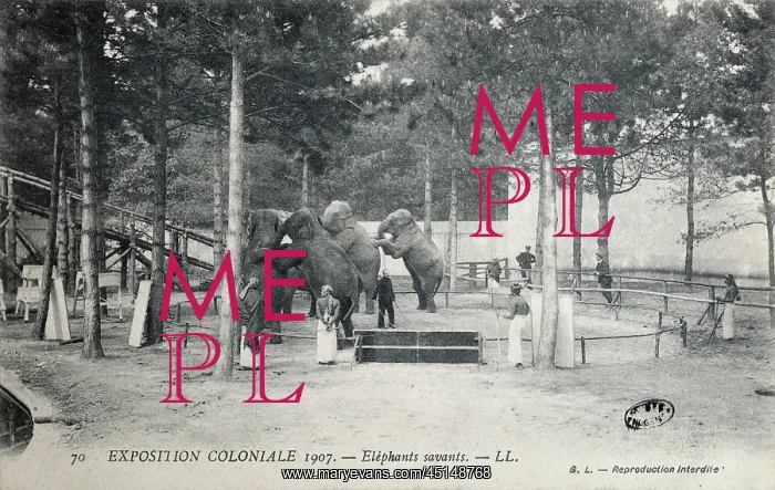 : Elephant training, 1907 Colonial Exhibition, Jardin : Elephant training, 1907 Colonial Exhibition, Jardin