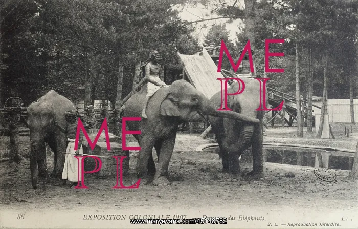 : Elephant training, 1907 Colonial Exhibition, Jardin : Elephant training, 1907 Colonial Exhibition, Jardin