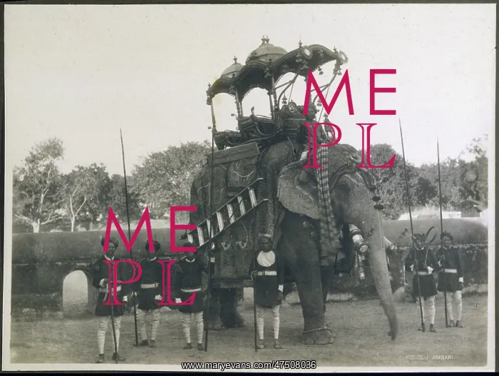 : ELEPHANT TRANSPORT C1920 : ELEPHANT TRANSPORT C1920