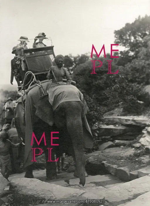 : ELEPHANT TRANSPORT C1920 : ELEPHANT TRANSPORT C1920