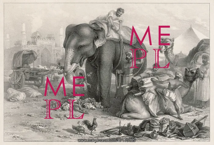  : ELEPHANT UNLOADS BAGGAGE