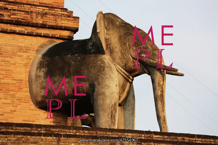 : Elephant, Wat Chedi Luang temple, Chiang Mai, Thailand : Elephant, Wat Chedi Luang temple, Chiang Mai, Thailand