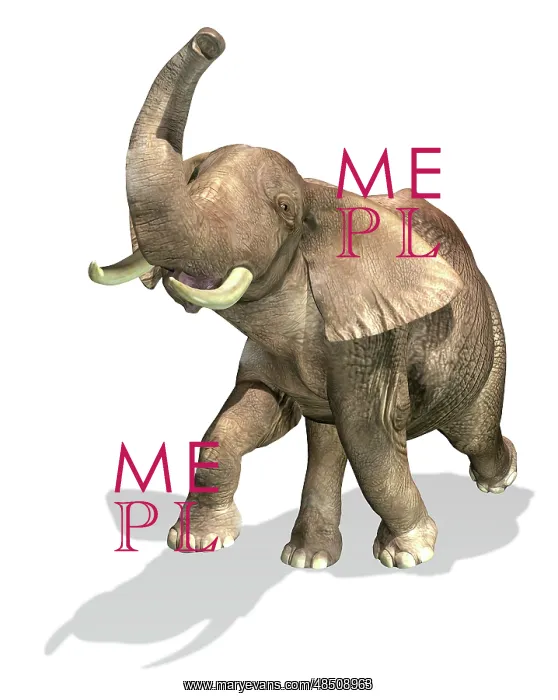  : Elephant on white background with drop shadow