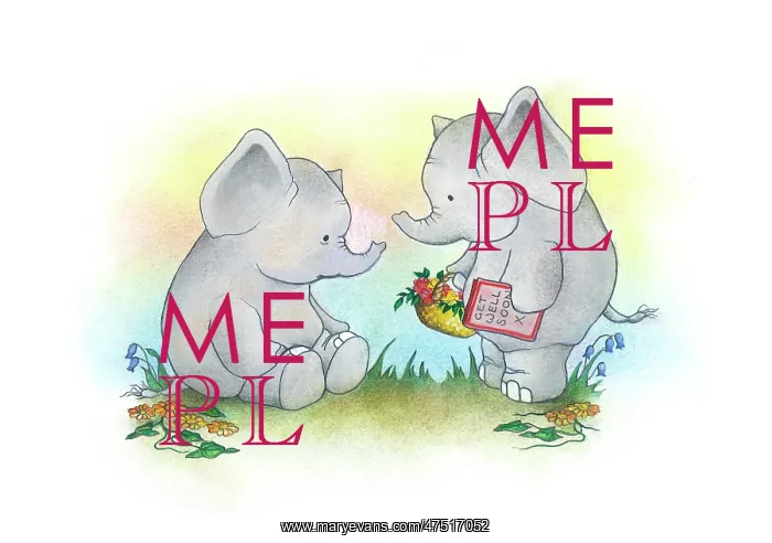 : Two elephants ? one with card and flowers : Two elephants ? one with card and flowers