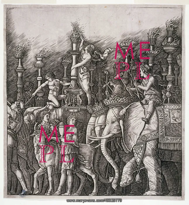 : Elephants carrying torche : Elephants carrying torche