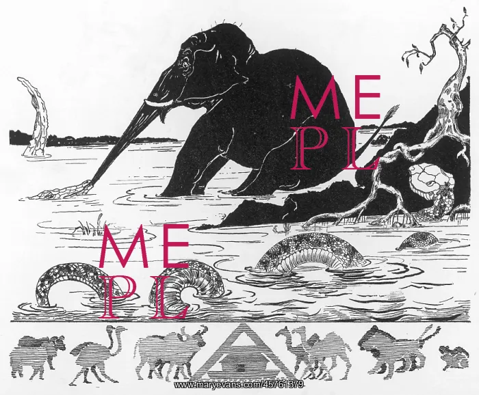 : THE ELEPHANT'S CHILD : THE ELEPHANT'S CHILD
