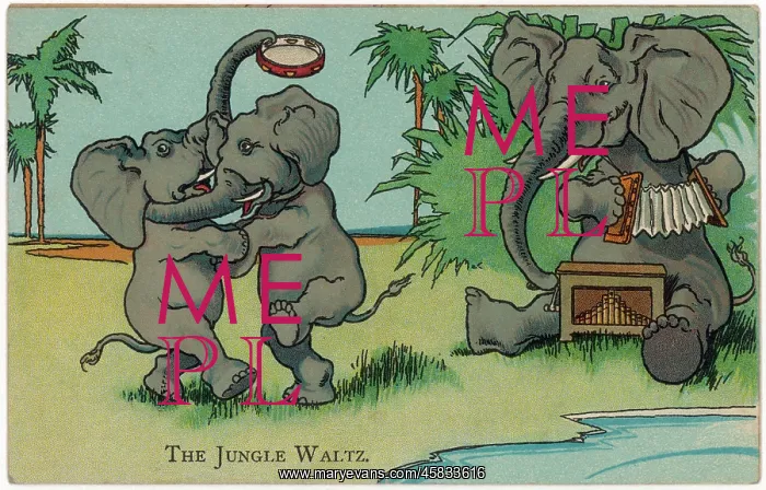  : ELEPHANTS DANCING