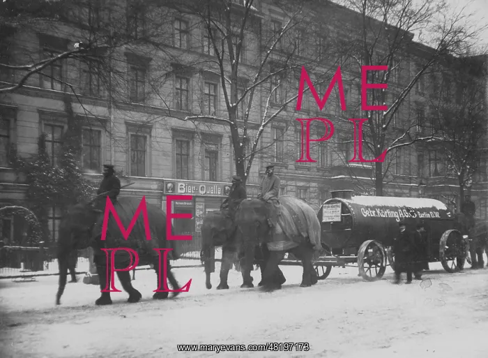 : Elephants as draft animals in Berlin, 1917 : Elephants as draft animals in Berlin, 1917