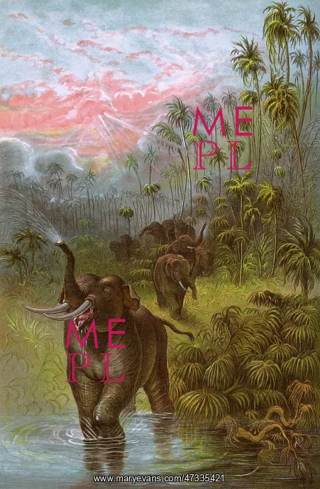 : ELEPHANTS / GRISET 1889 : ELEPHANTS / GRISET 1889