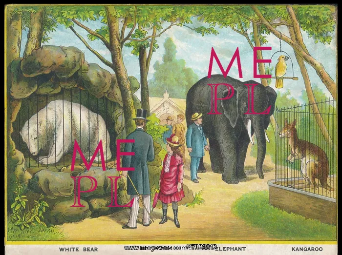 : ELEPHANTS AND KANGAROOS : ELEPHANTS AND KANGAROOS
