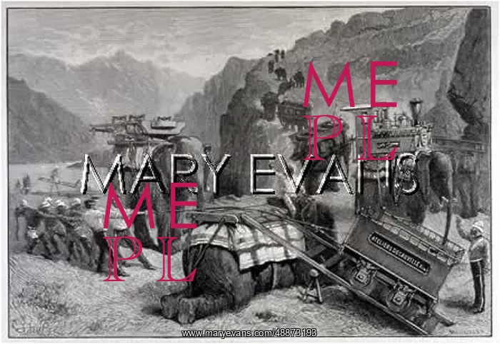  : ELEPHANTS / & RAILWAY