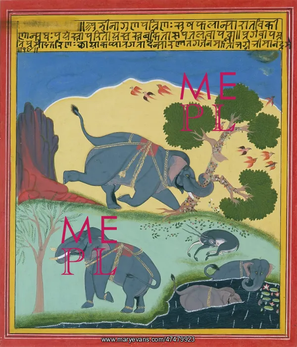 : Four Elephants ' one tearing up a tree : Four Elephants ' one tearing up a tree