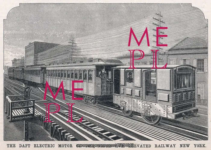 : Elevated Electric : Elevated Electric