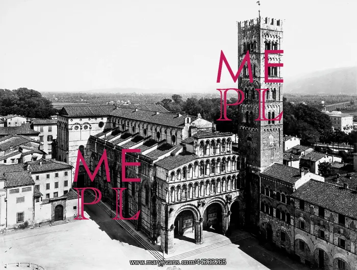 : Italy. Elevated view of the Cathedral of S.Martino, Lucca : Italy. Elevated view of the Cathedral of S.Martino, Lucca