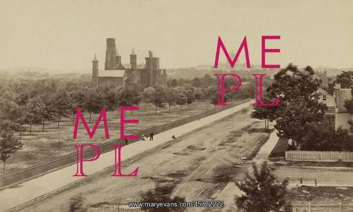  : Elevated view of the Smithsonian Institution